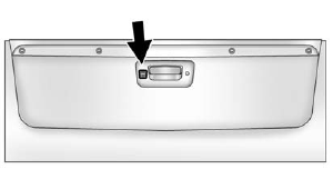 The camera is located in the bezel for the tailgate handle.